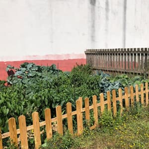 Escuela Infantil Golfiños en Lugo